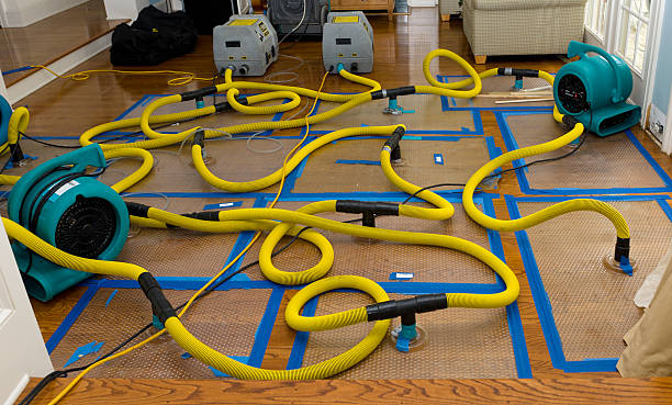 Professional Crawl Space Water Removal technician working in Jensen Beach, FL